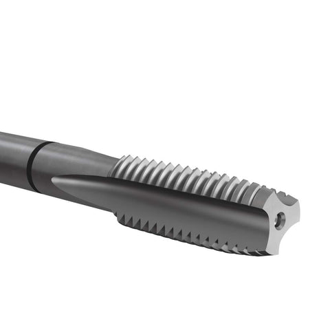 K10509 Dettaglio 4