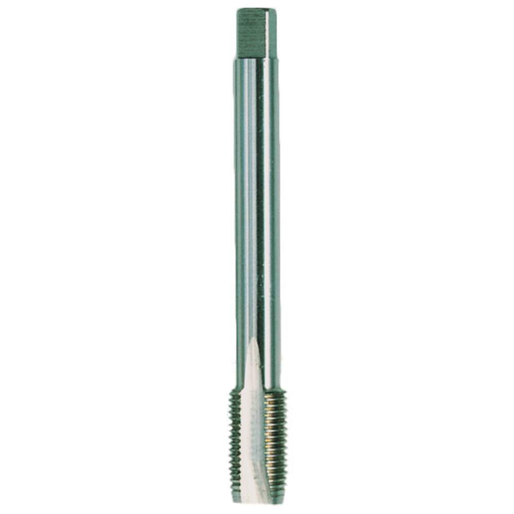 K10259 Prodotto intero (catalogo)