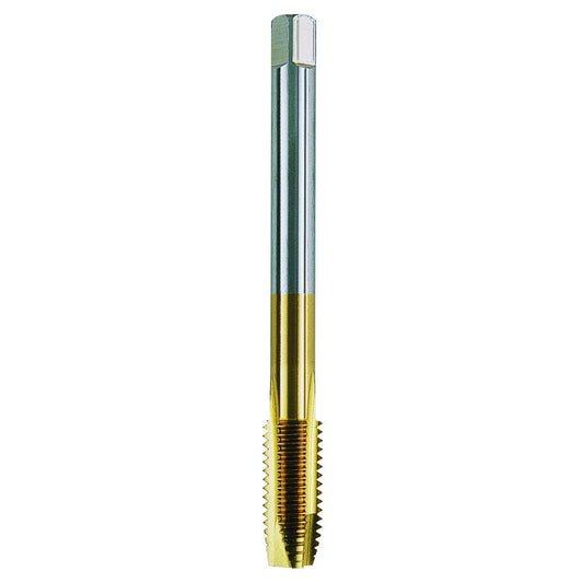 K10351 Dettaglio 1
