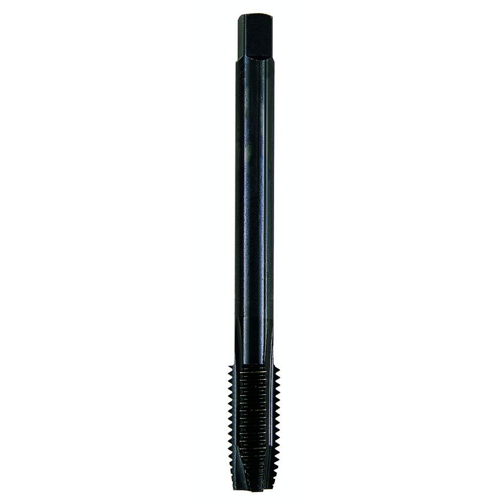 K10298 Prodotto intero (catalogo)