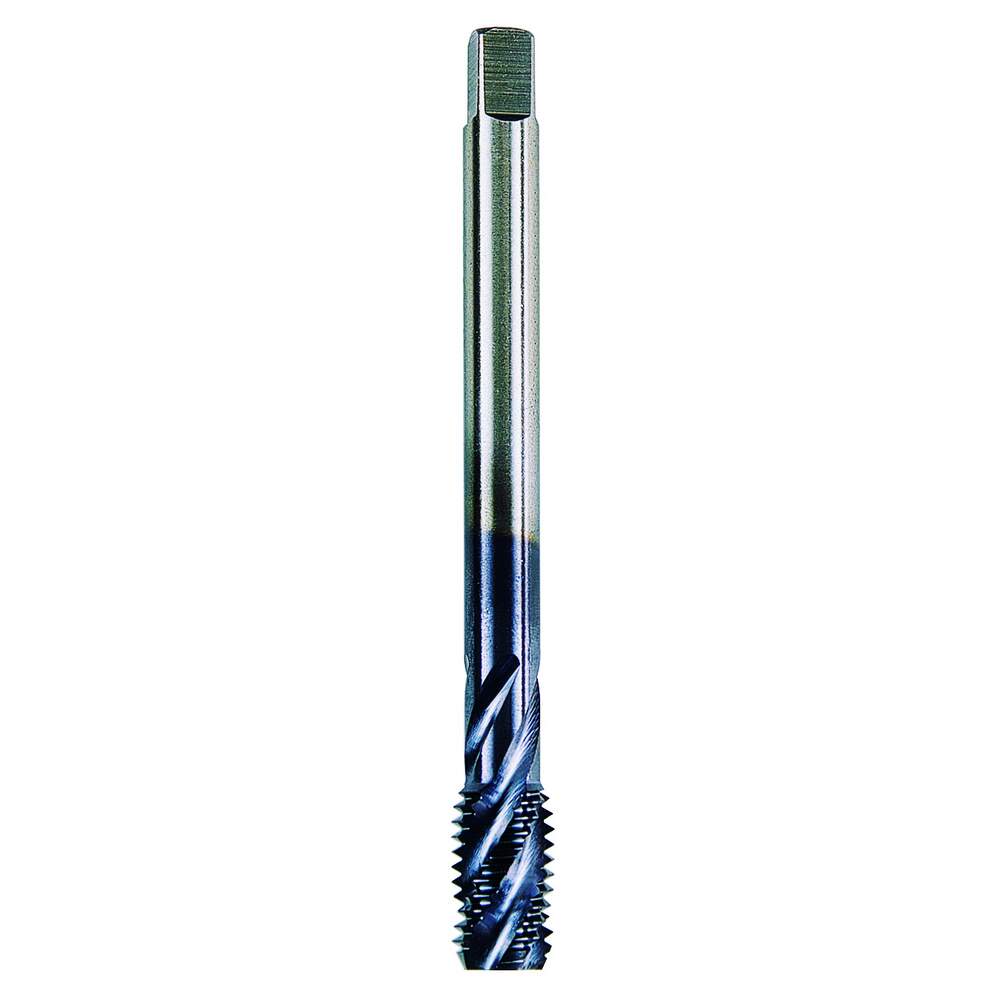 K10405 Prodotto intero (catalogo)