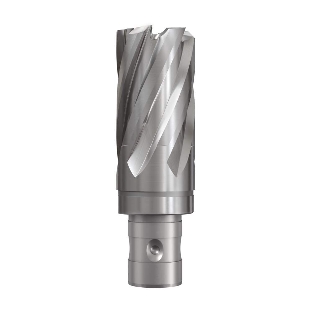 K21213 Prodotto intero (catalogo)