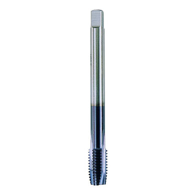 K10401 Prodotto intero (catalogo)