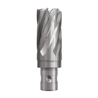 K21213 Dettaglio 1
