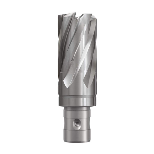 K21213 Dettaglio 1