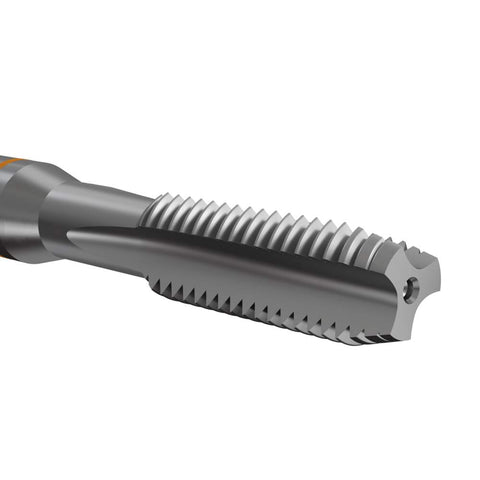K10513 Dettaglio 4