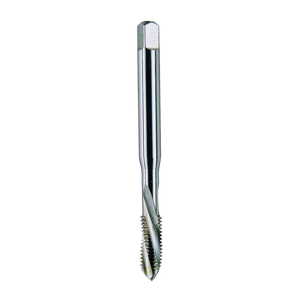 K10198 Dettaglio 1