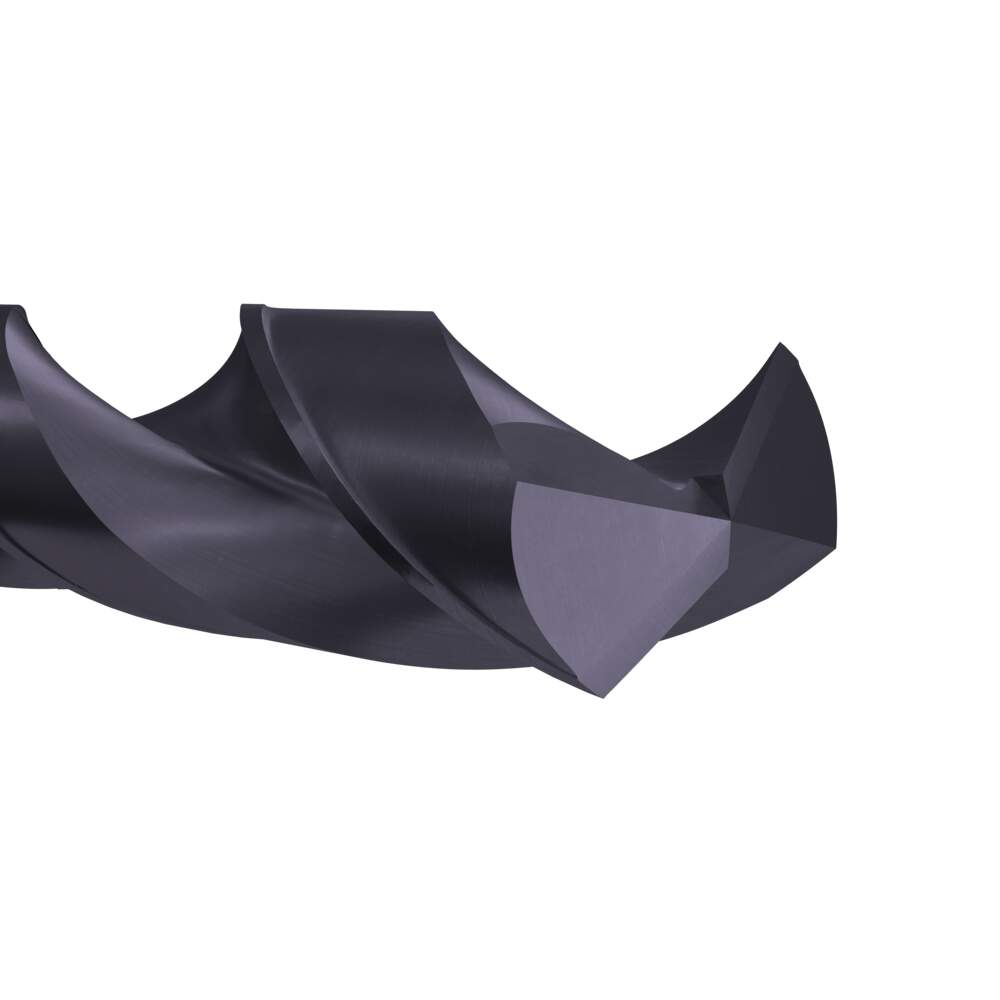 K01369 Dettaglio 4